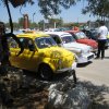 Montevago 2010 (334)